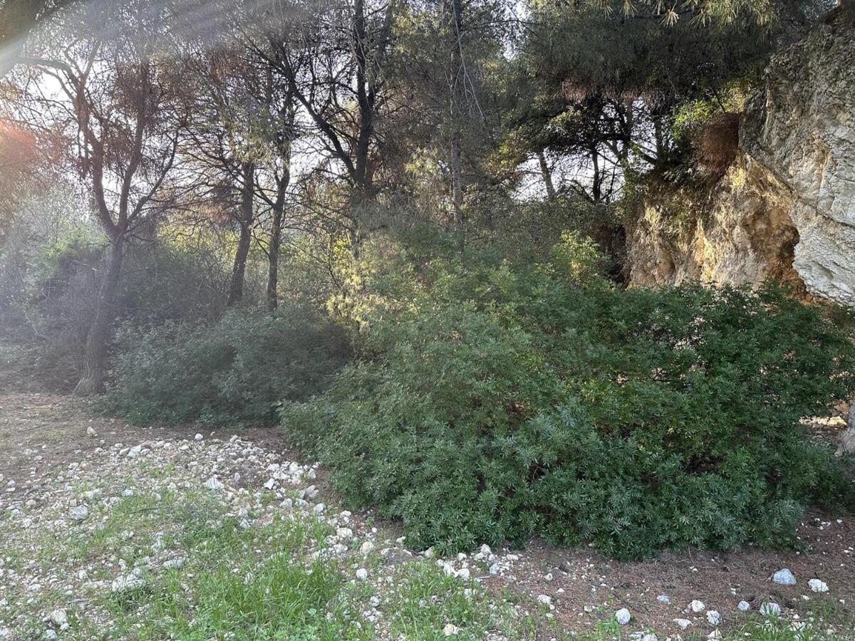 דירות ניס Breathe Guest-House מראה חיצוני תמונה